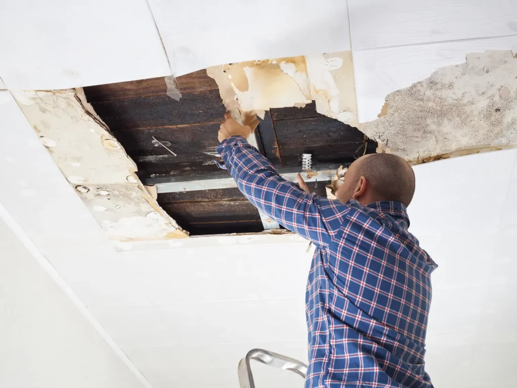 West Seattle WA Water Damage