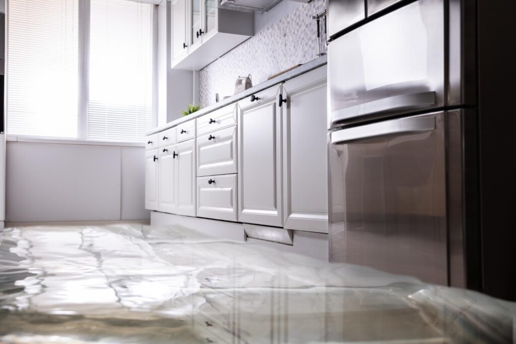Why Choose Professional Water Damage Restoration Services?