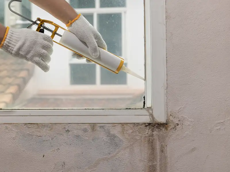 Mold remediation services